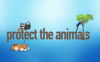 World Animal Day Celebration - Animal Rights Day