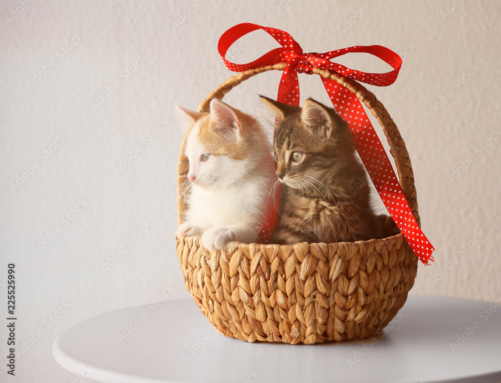 Wall mural Cute little kittens in wicker basket with ribbon on light background