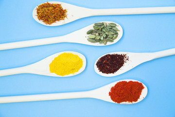 Cooking Hot Spicy Food Concept. Dry spices and herbs in wooden spoons, light blue background