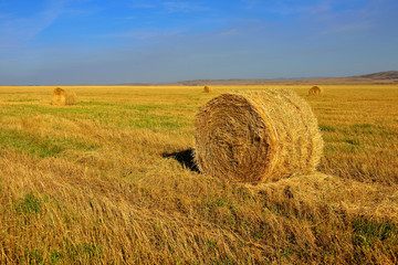 Roll of rye straw