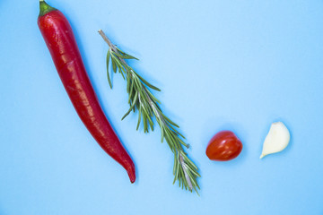 Cooking Hot Spicy Food Concept. Dry spices and herbs in wooden spoons, light blue background