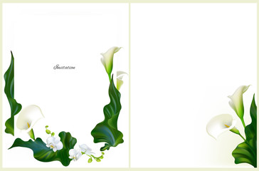 Flowers. Invitation. Orchids. Floral background. Postcard. Callas. Green leaves. Flower pattern. Bouquet. Frame.