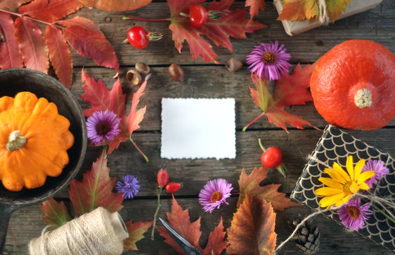 autumn thanksgiving background with pumpkins,leaves,berries,gifts/ holiday preparations