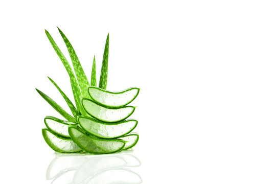 Slice Aloe Vera a very useful herbal medicine for skin care and hair care.