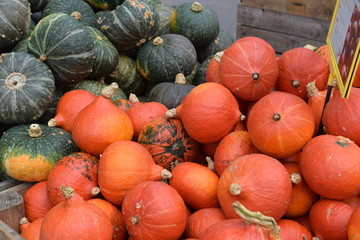pumpkin mix 10