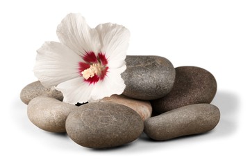Naklejka na ściany i meble Pebbles with Flower