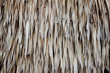 Roof countryside of leaves dry for background and texture.