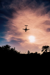 Palmen im Sonnenuntergang auf Ibiza mit Flugzeug im Anflug