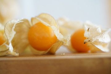 Physalis