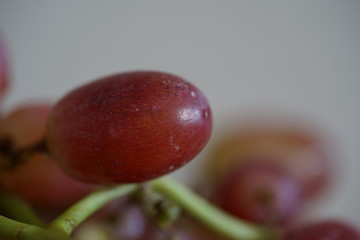 Weintrauben, rot