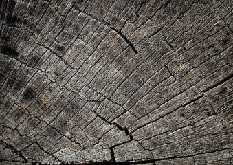 Fototapeta premium Holz, Wood, Maserung, Textur, Material 