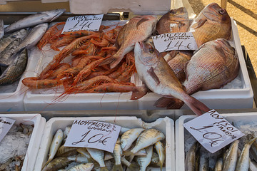 Naklejka premium Sea fish on public market in Greece