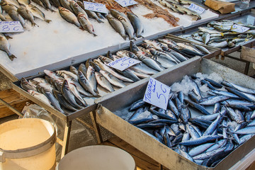 Naklejka premium Sea fish on public market in Greece