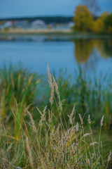 Autumn background, Golden autumn: colorful trees near the pond with reflection in the water.