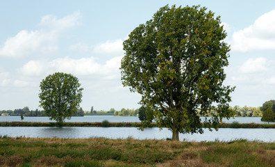 River landscape Netherlands