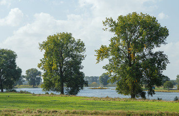 River landscape with ferry