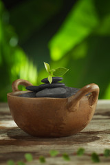 close up view of flower and gray stones on color back