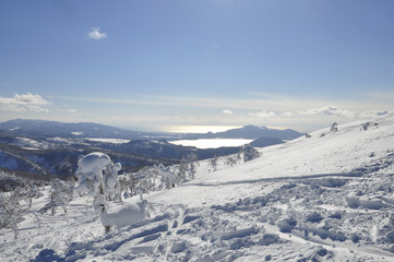 Fototapeta na wymiar Skiing in Hokkaido, Japan