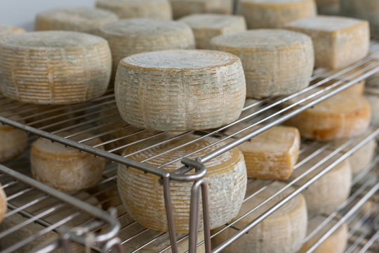 Artisanal Cheese Ripening Room