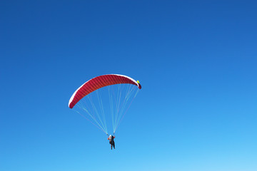 Paraglider