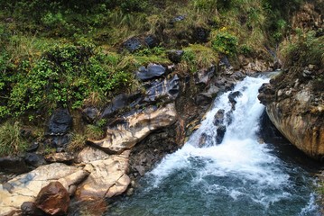 river in jungle of Peru