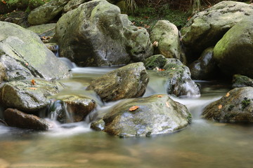 Bewegung