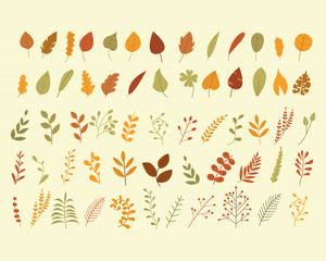 Set of colorful autumn leaves. vector illustration.