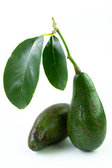 Raw avocado on white background.