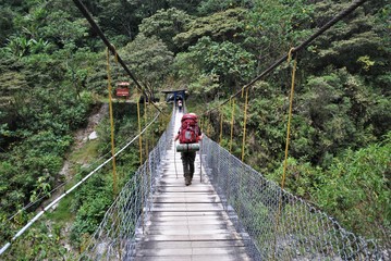 Naklejka premium bridge in south america jungle