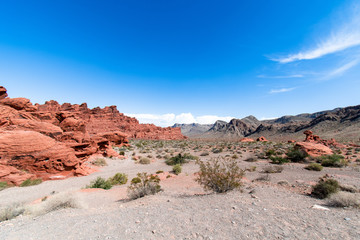 Fototapeta na wymiar Valley of Fire - Nevada