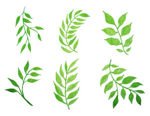  set of vector watercolor leaves.