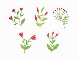  set of vector watercolor leaves and flower.