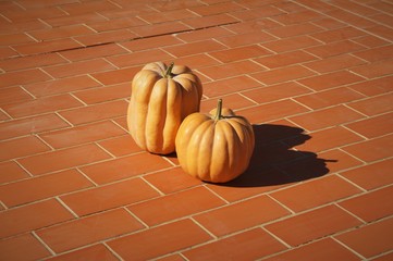 Calabaza de temporada de otoño para halloween