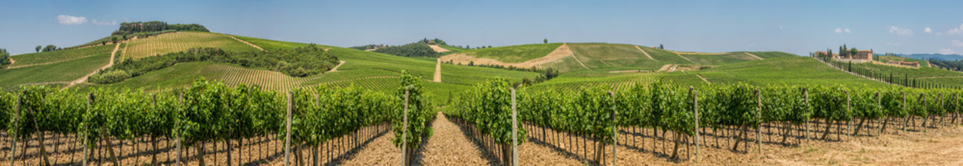 Fototapeta na wymiar Panoramic view of a winery and vineyards in the rolling hills near San Gimignano, Chianti, Tuscany