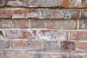 Red brick wall texture background