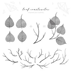 Big set of leaf veins, branch, leaf, flower, fall, spring, summer. Detailed vector macro illustration, isolated on white background, not autotrace, constructor d
