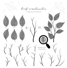 Big set of branch and leaf, autumn, spring, summer. Detailed vector macro illustration, not autotrace, constructor design