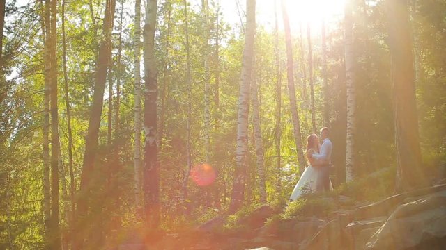 Elegant happy wedding couple kissing in the forest on sunset