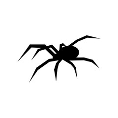 Black spider vector silhouette. Black widow. Flat vector illustration