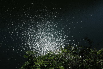 Reflet du soleil sur l'eau