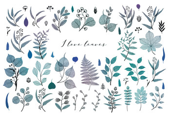 Branches and leaves, fall, spring, summer. Vintage botanical illustration, floral elements in blue
