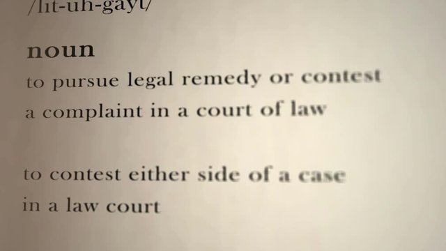 Litigant Definition  
