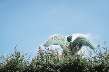 Fototapeta premium Back of Angle statue or Fairy Statue in the garden,