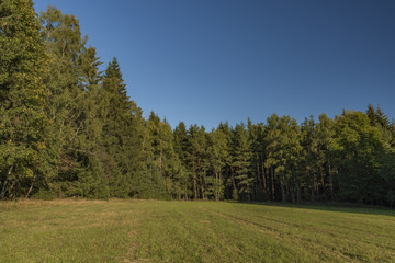 Fototapeta premium Meadows and forest in Sumava national park