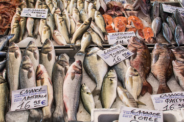 Naklejka premium Asprovalta, Greece - August 13, 2018: Selling fresh fish and squid on public market