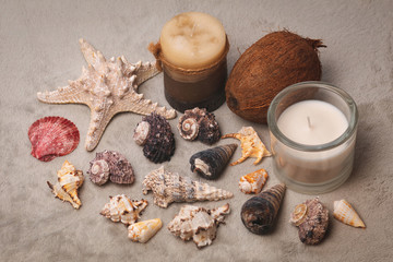 Christmas decorations with seashells and candles