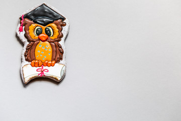 Beautiful gingerbread on school subjects.