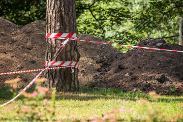 The tree is wrapped in a protective red tape and a pile of construction sand with gravel and a fence