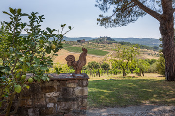 View from a winery terrace looking across the vineyards in the Chianti region of Tuscany, Italy