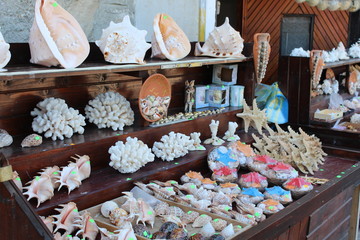 seashells market